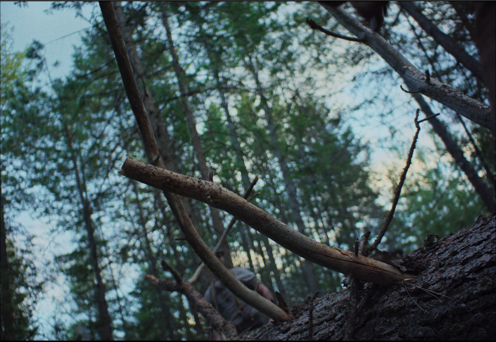 Still frame 85 from Train Dreams (2025) directed by Clint Bentley