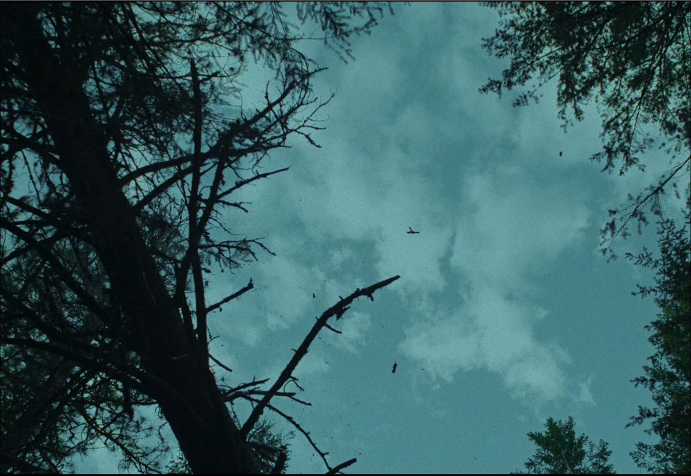Still frame 86 from Train Dreams (2025) directed by Clint Bentley