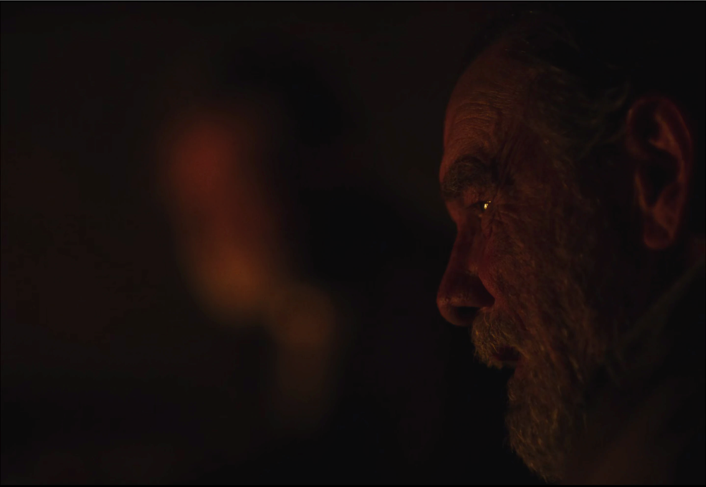 Still frame 118 from Train Dreams (2025) directed by Clint Bentley
