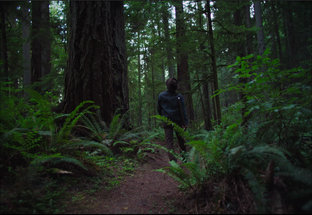 Still frame 130 from Train Dreams (2025) directed by Clint Bentley