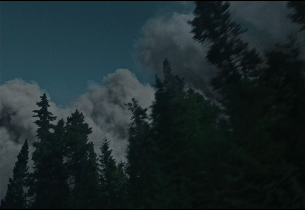 Still frame 133 from Train Dreams (2025) directed by Clint Bentley
