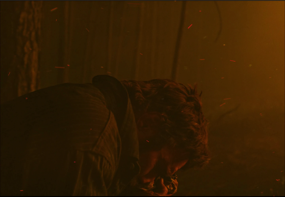 Still frame 137 from Train Dreams (2025) directed by Clint Bentley