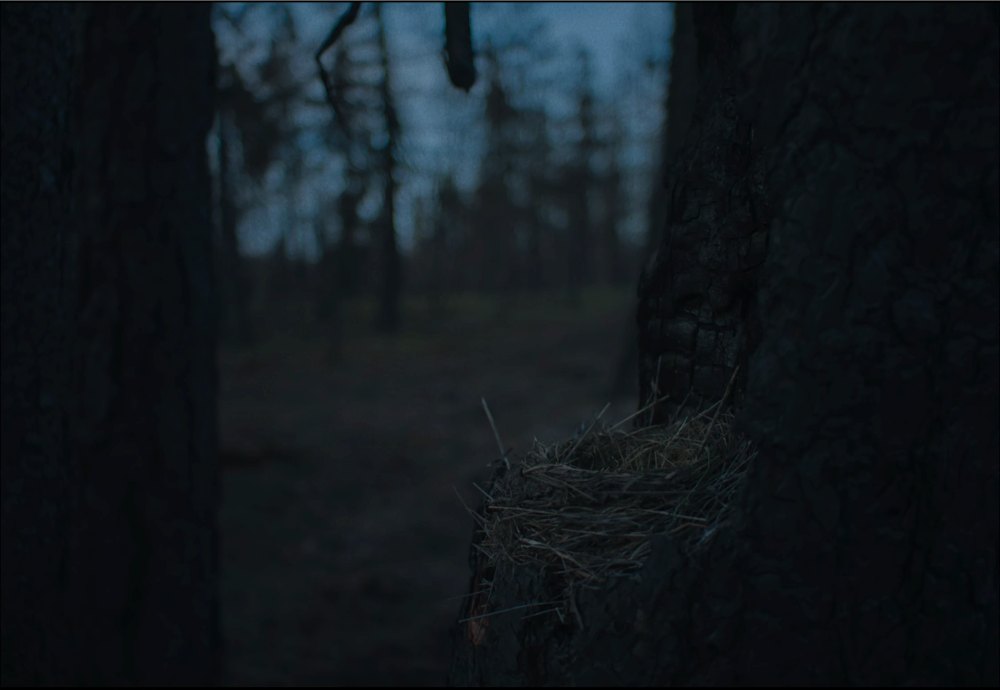 Still frame 162 from Train Dreams (2025) directed by Clint Bentley