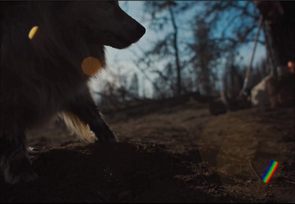 Still frame 166 from Train Dreams (2025) directed by Clint Bentley