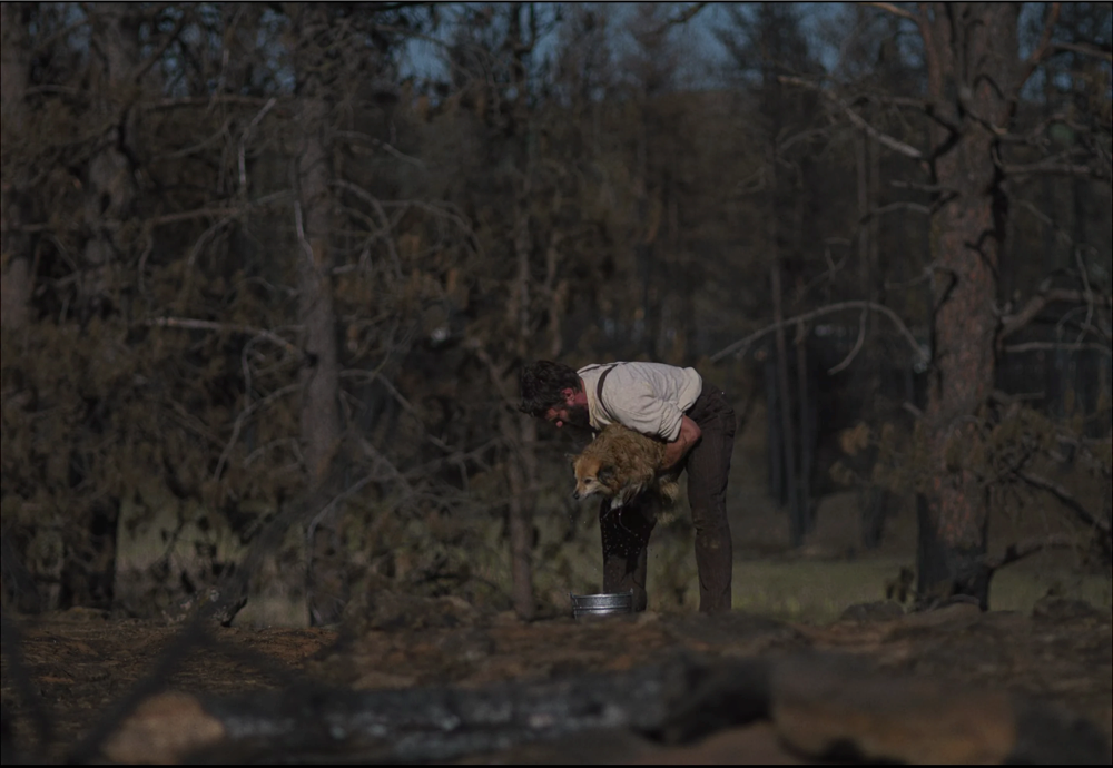 Still frame 167 from Train Dreams (2025) directed by Clint Bentley