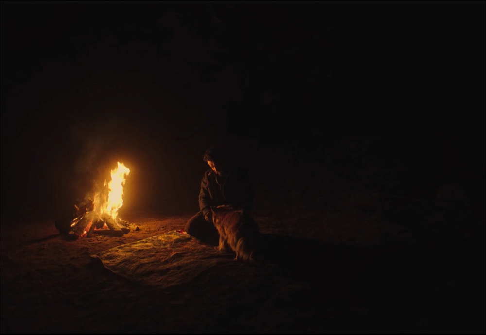 Still frame 168 from Train Dreams (2025) directed by Clint Bentley