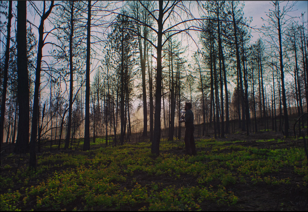 Still frame 170 from Train Dreams (2025) directed by Clint Bentley