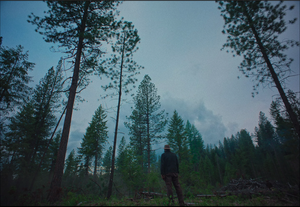 Still frame 185 from Train Dreams (2025) directed by Clint Bentley