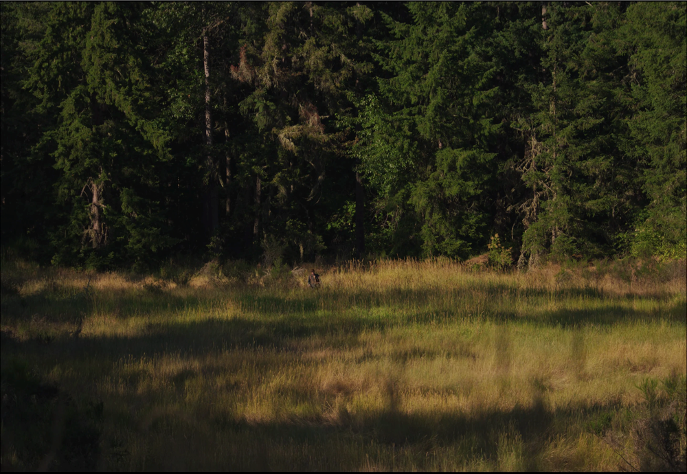 Still frame 194 from Train Dreams (2025) directed by Clint Bentley