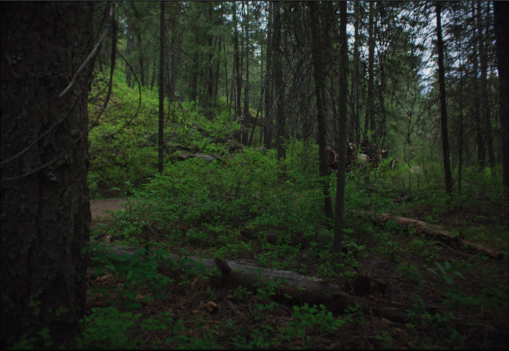 Still frame 201 from Train Dreams (2025) directed by Clint Bentley
