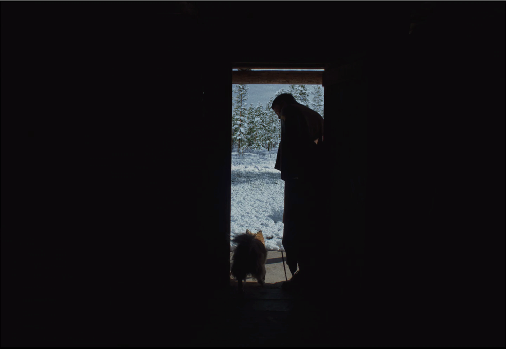 Still frame 226 from Train Dreams (2025) directed by Clint Bentley