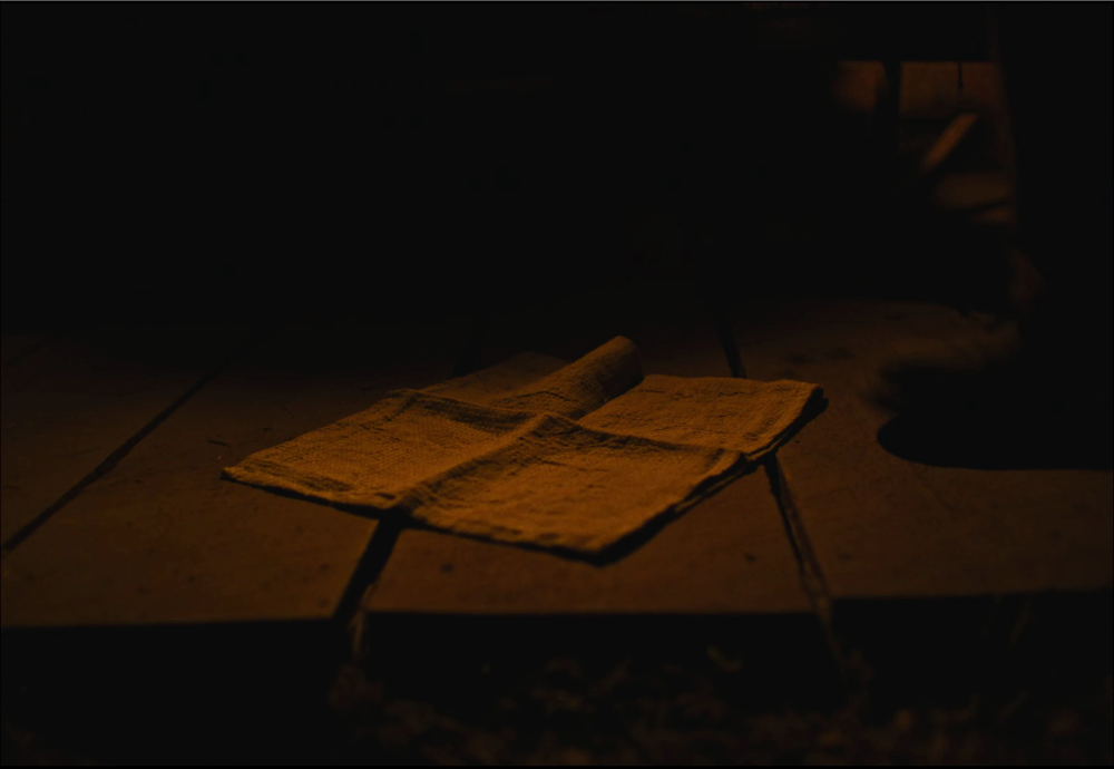 Still frame 253 from Train Dreams (2025) directed by Clint Bentley