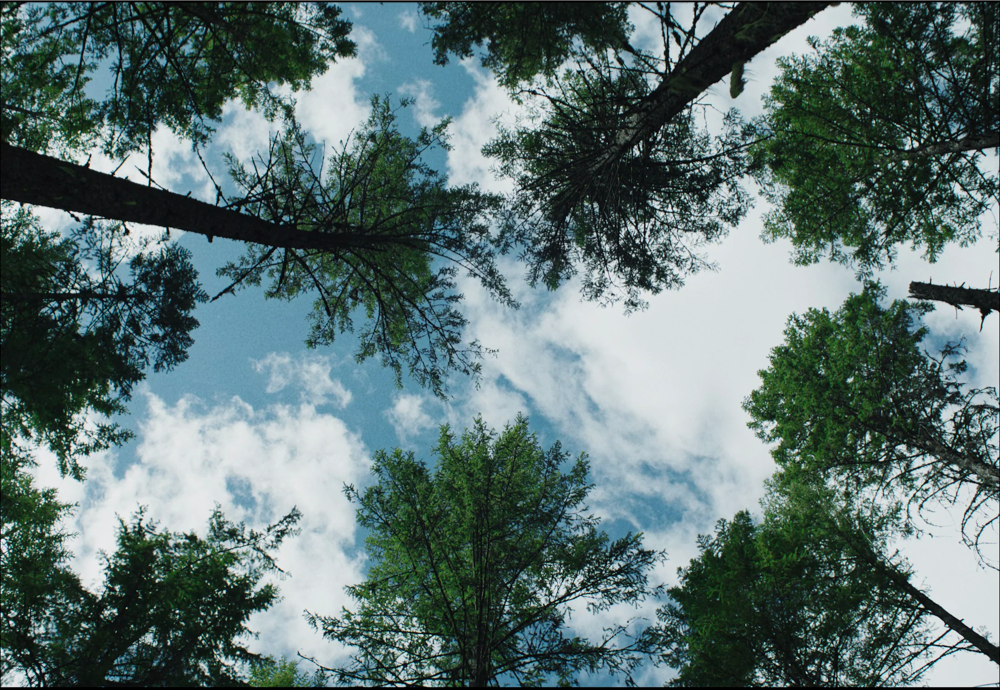 Still frame 26 from Train Dreams (2025) directed by Clint Bentley