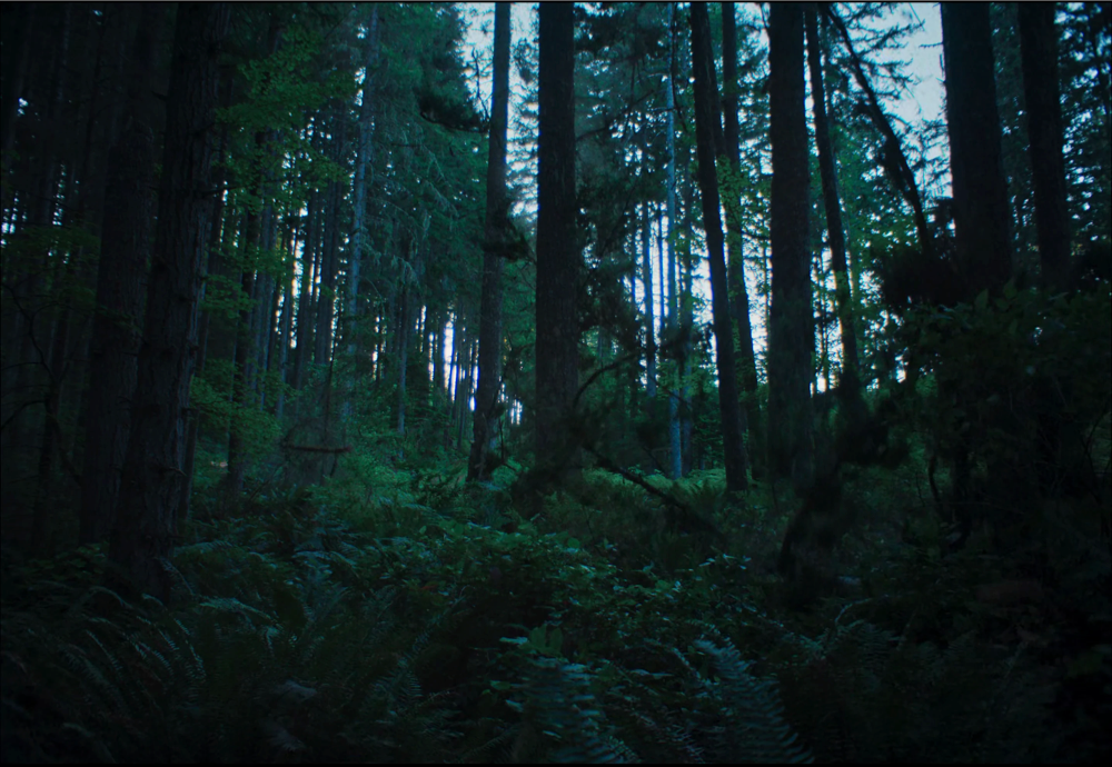 Still frame 267 from Train Dreams (2025) directed by Clint Bentley