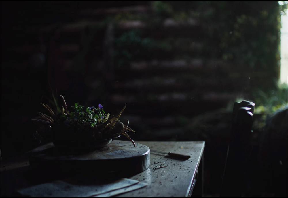Still frame 269 from Train Dreams (2025) directed by Clint Bentley