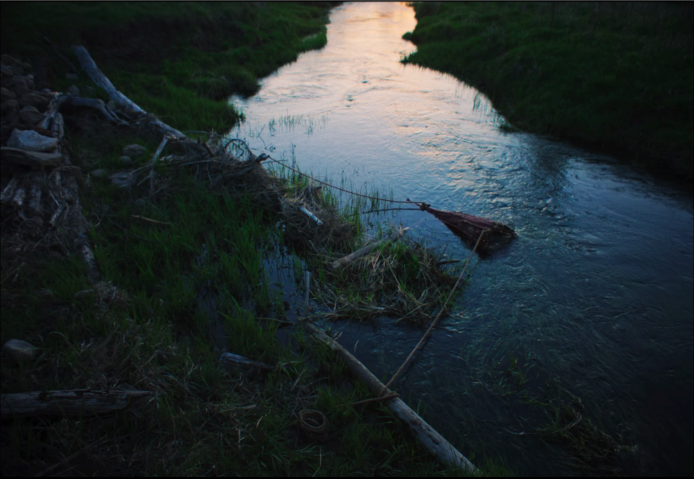 Still frame 47 from Train Dreams (2025) directed by Clint Bentley