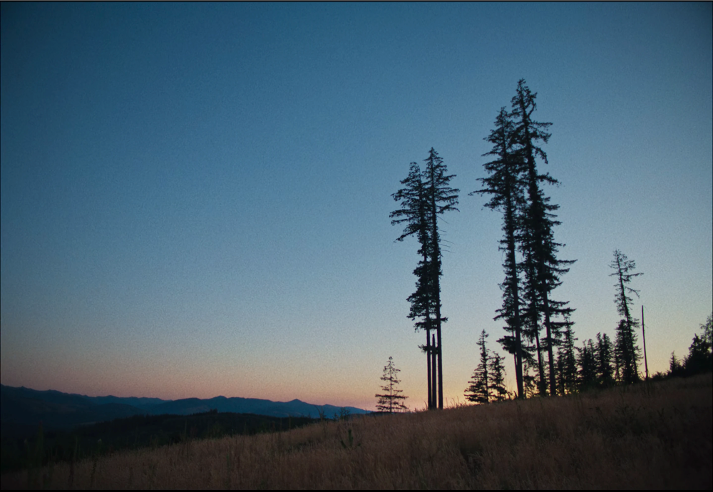Still frame 2 from Train Dreams (2025) directed by Clint Bentley