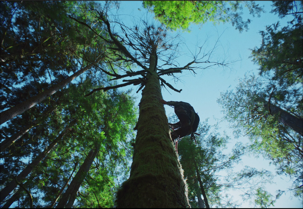 Still frame 58 from Train Dreams (2025) directed by Clint Bentley