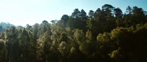 Still frame 44 from Valhalla Rising (2009) directed by Nicolas Winding Refn