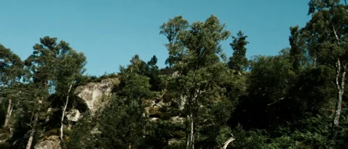 Still frame 46 from Valhalla Rising (2009) directed by Nicolas Winding Refn