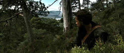 Still frame 51 from Valhalla Rising (2009) directed by Nicolas Winding Refn