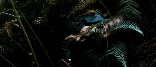 Still frame 62 from Valhalla Rising (2009) directed by Nicolas Winding Refn