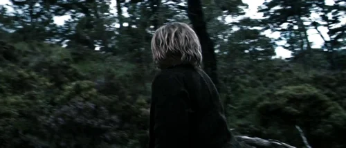 Still frame 79 from Valhalla Rising (2009) directed by Nicolas Winding Refn