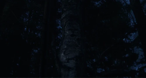 Still frame 271 from Wake Up Dead Man (2025) directed by Rian Johnson