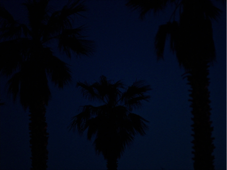Still frame 106 from Wild Diamond (2024) directed by Agathe Riedinger