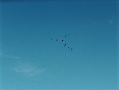 Still frame 120 from Wild Diamond (2024) directed by Agathe Riedinger