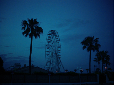 Still frame 157 from Wild Diamond (2024) directed by Agathe Riedinger