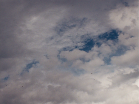 Still frame 30 from Wild Diamond (2024) directed by Agathe Riedinger