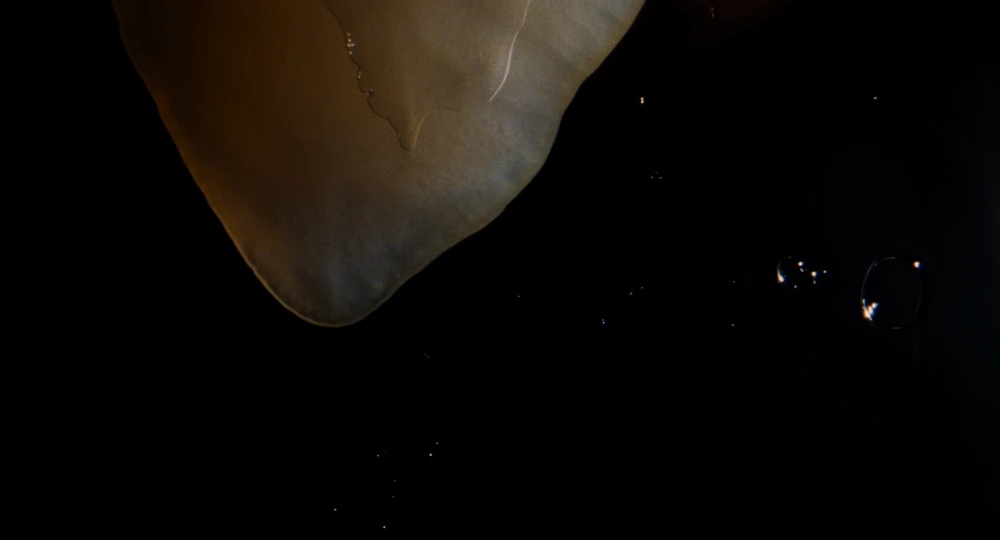 Still frame 88 from Wuthering Heights (2026) directed by Emerald Fennell