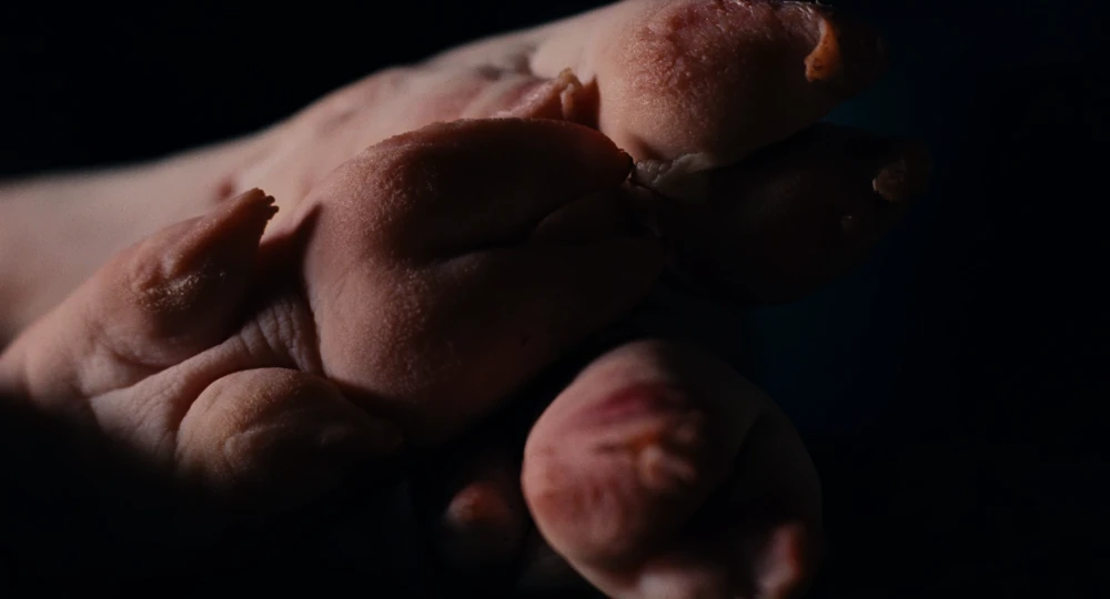 Still frame 89 from Wuthering Heights (2026) directed by Emerald Fennell