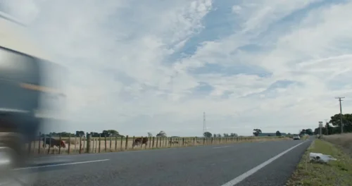 Still frame 4 from X (2022) directed by Ti West