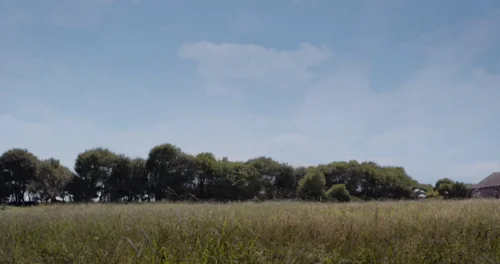 Still frame 18 from X (2022) directed by Ti West