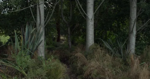 Still frame 24 from X (2022) directed by Ti West