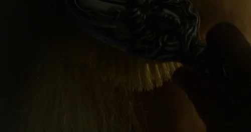 Still frame 37 from X (2022) directed by Ti West