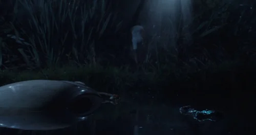 Still frame 68 from X (2022) directed by Ti West