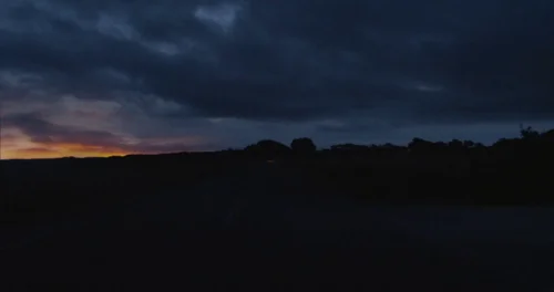 Still frame 84 from X (2022) directed by Ti West