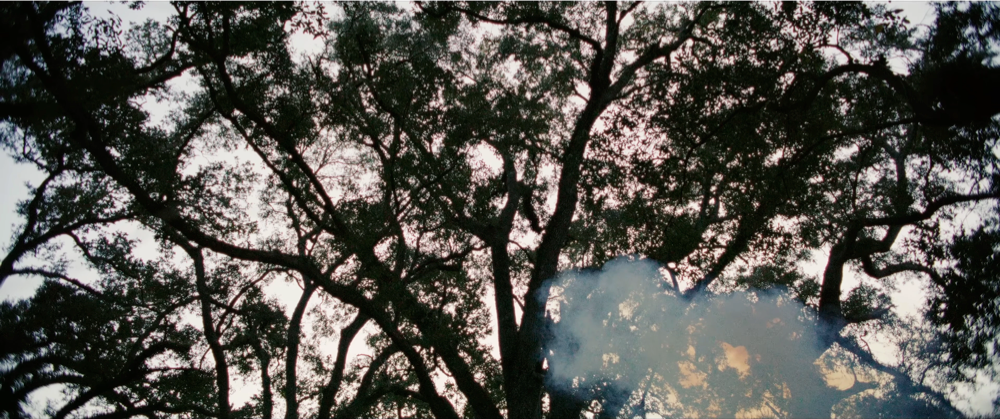 Still frame 65 from Addison Rae - High Fashion (2025) directed by Mitch Ryan