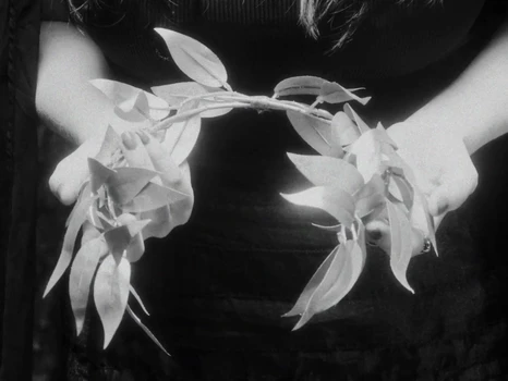 Still frame 41 from anastymoza - Vidnosnist (2025) directed by Anna Vasilyeva