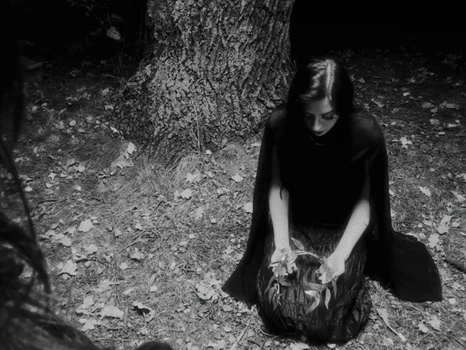 Still frame 44 from anastymoza - Vidnosnist (2025) directed by Anna Vasilyeva