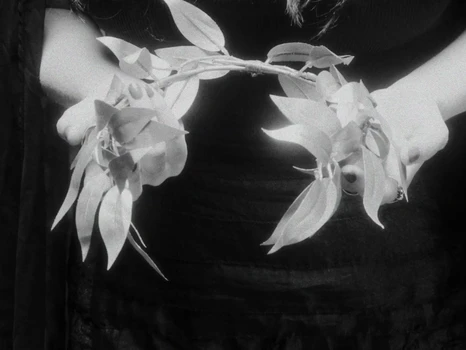 Still frame 48 from anastymoza - Vidnosnist (2025) directed by Anna Vasilyeva