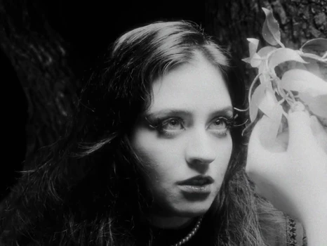 Still frame 50 from anastymoza - Vidnosnist (2025) directed by Anna Vasilyeva