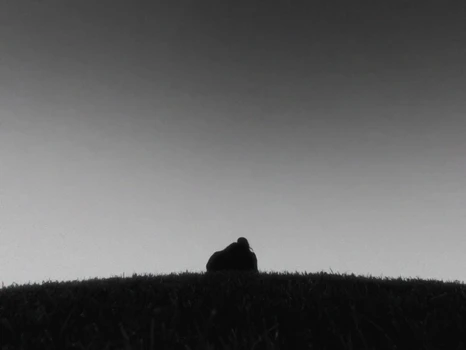anastymoza - Vidnosnist