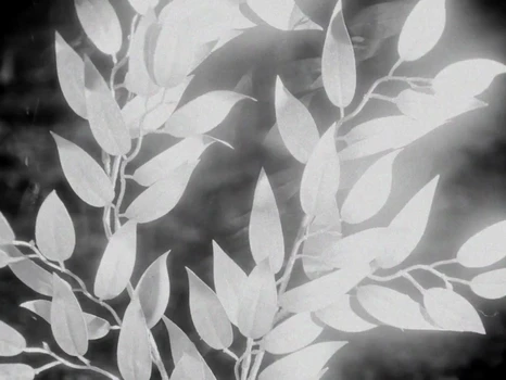 Still frame 13 from anastymoza - Vidnosnist (2025) directed by Anna Vasilyeva