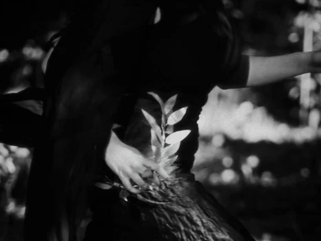 Still frame 14 from anastymoza - Vidnosnist (2025) directed by Anna Vasilyeva