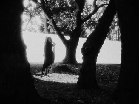 Still frame 32 from anastymoza - Vidnosnist (2025) directed by Anna Vasilyeva