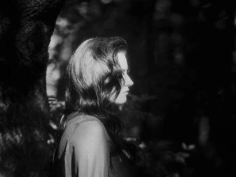 Still frame 36 from anastymoza - Vidnosnist (2025) directed by Anna Vasilyeva